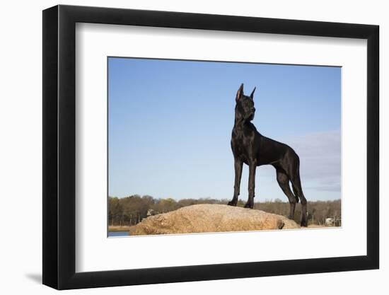 Great Dane-Lynn M^ Stone-Framed Photographic Print