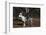 Great Dane-Lynn M^ Stone-Framed Photographic Print