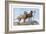 Great Danes-Louis Agassiz Fuertes-Framed Art Print