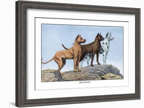 Great Danes-Louis Agassiz Fuertes-Framed Art Print