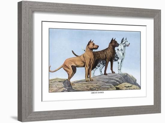 Great Danes-Louis Agassiz Fuertes-Framed Art Print