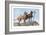 Great Danes-Louis Agassiz Fuertes-Framed Art Print