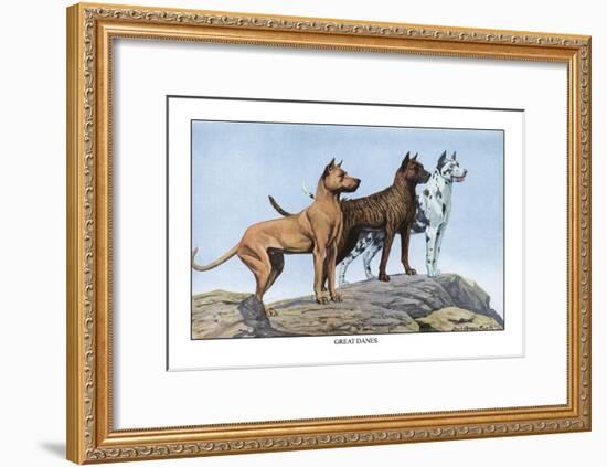 Great Danes-Louis Agassiz Fuertes-Framed Art Print