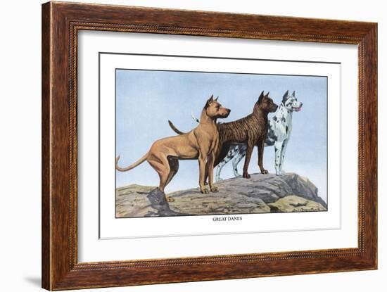 Great Danes-Louis Agassiz Fuertes-Framed Art Print