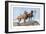 Great Danes-Louis Agassiz Fuertes-Framed Art Print