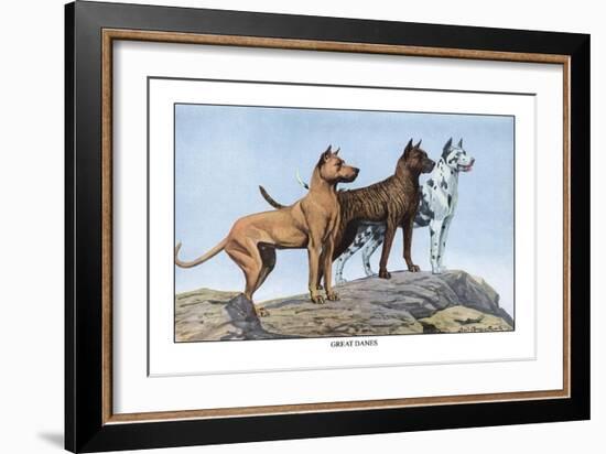 Great Danes-Louis Agassiz Fuertes-Framed Art Print