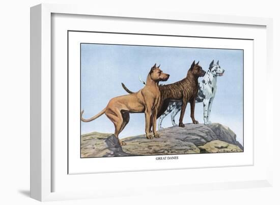 Great Danes-Louis Agassiz Fuertes-Framed Art Print