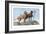 Great Danes-Louis Agassiz Fuertes-Framed Art Print