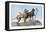 Great Danes-Louis Agassiz Fuertes-Framed Stretched Canvas