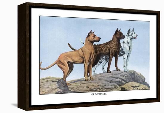 Great Danes-Louis Agassiz Fuertes-Framed Stretched Canvas