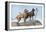Great Danes-Louis Agassiz Fuertes-Framed Stretched Canvas