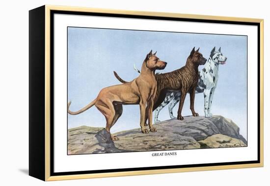 Great Danes-Louis Agassiz Fuertes-Framed Stretched Canvas