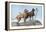 Great Danes-Louis Agassiz Fuertes-Framed Stretched Canvas