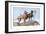 Great Danes-Louis Agassiz Fuertes-Framed Art Print