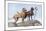 Great Danes-Louis Agassiz Fuertes-Mounted Art Print