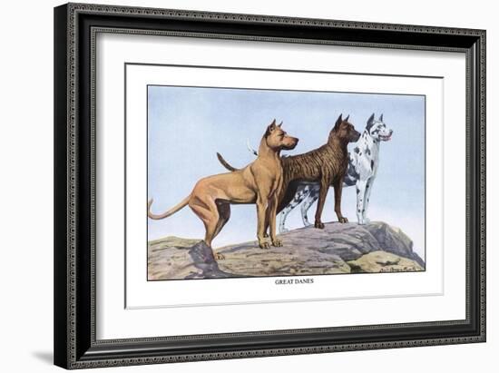 Great Danes-Louis Agassiz Fuertes-Framed Art Print