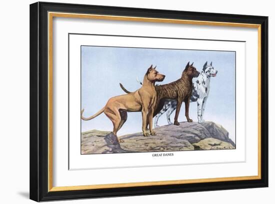 Great Danes-Louis Agassiz Fuertes-Framed Art Print