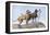 Great Danes-Louis Agassiz Fuertes-Framed Stretched Canvas