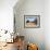 Great Dune at Dawn, Douz, Sahara Desert, Tunisia-Walter Bibikow-Framed Photographic Print displayed on a wall