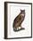 Great Eared Owl, 1841-Prideaux John Selby-Framed Giclee Print