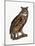 Great Eared Owl, 1841-Prideaux John Selby-Mounted Giclee Print