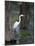 Great Egret, Caddo Lake, Texas, USA-Larry Ditto-Mounted Photographic Print