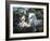 Great egret chicks, Florida, USA.-Maresa Pryor-Framed Photographic Print