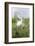 Great Egret Displaying Breeding Plumage at Nest Colony-Larry Ditto-Framed Photographic Print