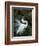 Great Egret Exhibiting Sky Pointing on Nest, St. Augustine, Florida, USA-Jim Zuckerman-Framed Photographic Print