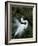 Great Egret Exhibiting Sky Pointing on Nest, St. Augustine, Florida, USA-Jim Zuckerman-Framed Photographic Print