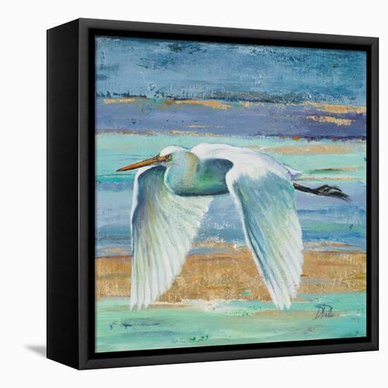 Great Egret II-Patricia Pinto-Framed Stretched Canvas