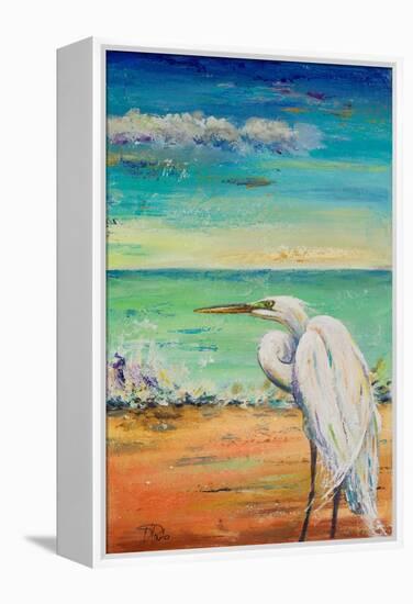 Great Egret II-Patricia Pinto-Framed Stretched Canvas