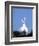Great Egret in a Courtship Display, Florida, USA-Charles Sleicher-Framed Photographic Print