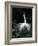 Great Egret in Courtship Display-Charles Sleicher-Framed Photographic Print