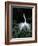 Great Egret in Courtship Display-Charles Sleicher-Framed Photographic Print