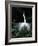 Great Egret in Courtship Display-Charles Sleicher-Framed Photographic Print