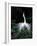 Great Egret in Courtship Display-Charles Sleicher-Framed Photographic Print