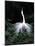 Great Egret in Courtship Display-Charles Sleicher-Mounted Photographic Print