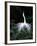 Great Egret in Courtship Display-Charles Sleicher-Framed Photographic Print