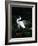 Great Egret in Courtship Display-Charles Sleicher-Framed Photographic Print