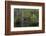 Great Egret in Everglades National Park, Florida, USA-Chuck Haney-Framed Photographic Print