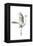 Great Egret in Flight, Digitally Altered-Rona Schwarz-Framed Premier Image Canvas