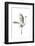 Great Egret in Flight, Digitally Altered-Rona Schwarz-Framed Photographic Print