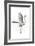 Great Egret in Flight Returning to Nest-Rona Schwarz-Framed Photographic Print