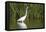 Great Egret, Leonabelle Turnbull Center, Port Aransas, Texas, Usa-Richard ans Susan Day-Framed Premier Image Canvas