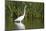 Great Egret, Leonabelle Turnbull Center, Port Aransas, Texas, Usa-Richard ans Susan Day-Mounted Photographic Print