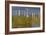 Great Egret Poses As A Wooden Plank In Marsh Grasses, Blackwater Wildlife Reserve In Cambridge, MD-Karine Aigner-Framed Photographic Print