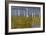 Great Egret Poses As A Wooden Plank In Marsh Grasses, Blackwater Wildlife Reserve In Cambridge, MD-Karine Aigner-Framed Photographic Print