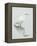 Great Egret Reflected-Arthur Morris-Framed Premier Image Canvas