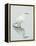 Great Egret Reflected-Arthur Morris-Framed Premier Image Canvas